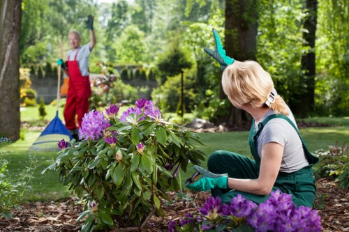 Garden drainage solution for a wet lawn in Hernehill