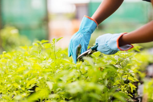 Supplier audit checklist for responsible sourcing