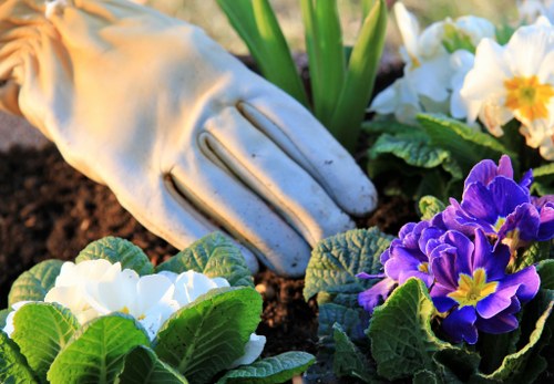 Hernehill landscaping services creating a balanced garden layout