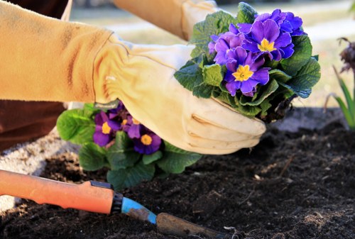 Outdoor garden planning and planting features in Hernehill