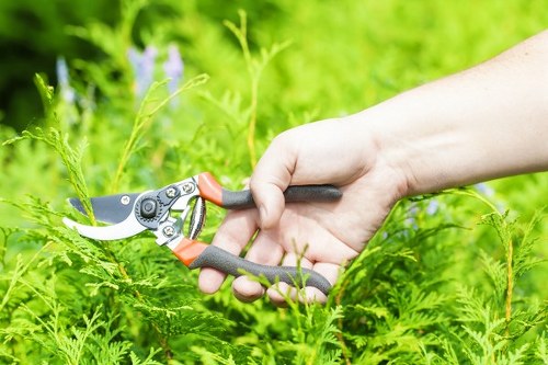 Reviewing a landscaping concern with site notes and photos