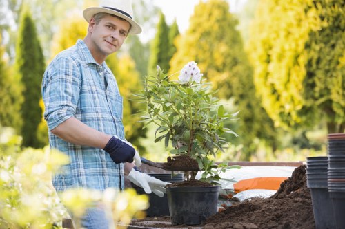 Resolving an issue in a landscaped garden area