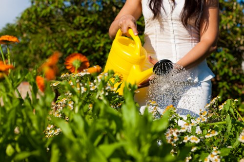 Low-maintenance garden design features suitable for homes and businesses in Hernehill